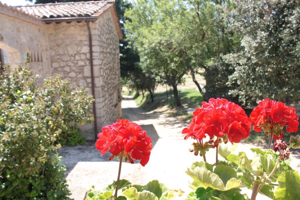 Villa Il Vallone Di Melezzole Exterior foto